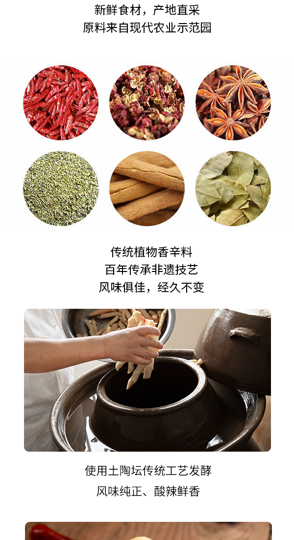 老母水泡小黃姜_03.png